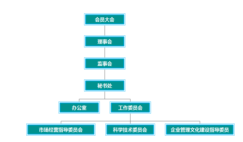 关于协会—组织架构.png