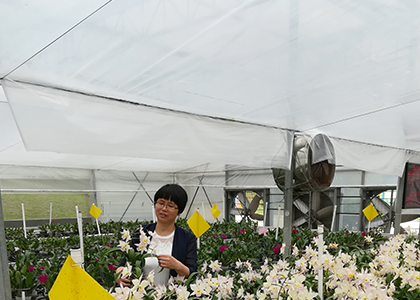 郑芝波.png