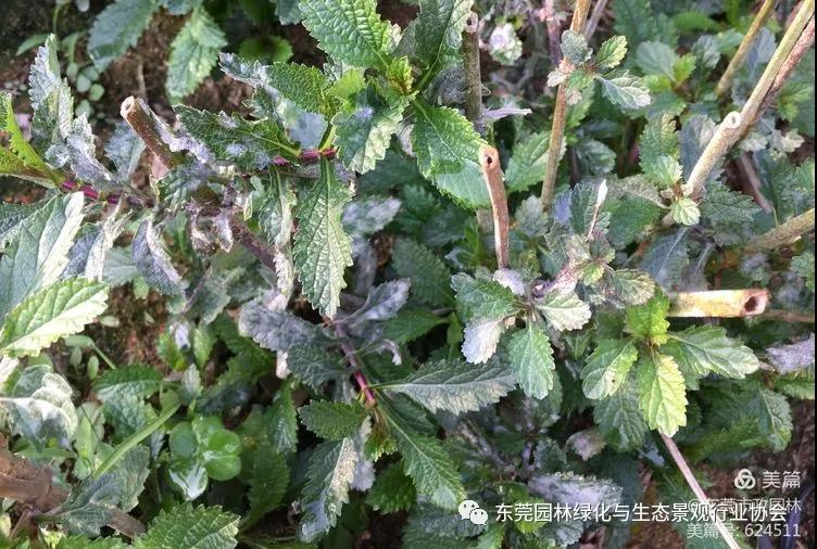 微信图片_20210331094854.jpg