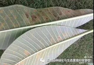微信图片_20210331094916.jpg
