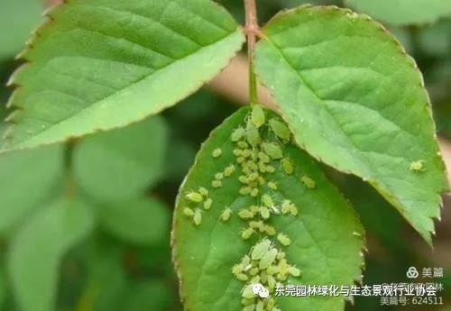 微信图片_20210331094920.jpg