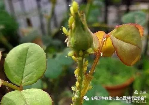 微信图片_20210331094924.jpg