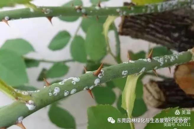 微信图片_20210331094928.jpg