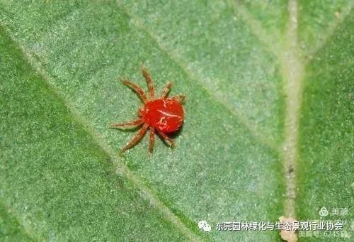 微信图片_20210331094936.jpg