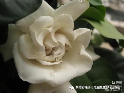 微信图片_20210331094947.jpg
