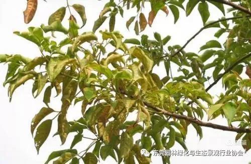 微信图片_20210331094951.jpg