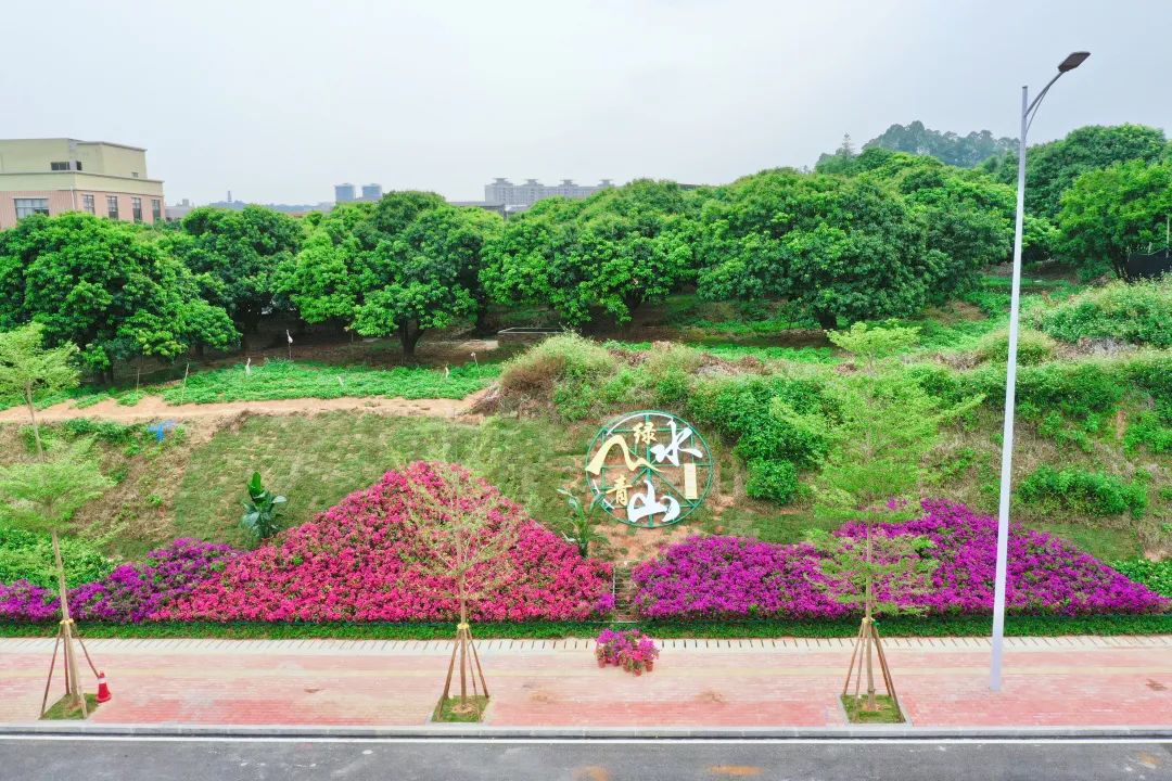 93.jpg