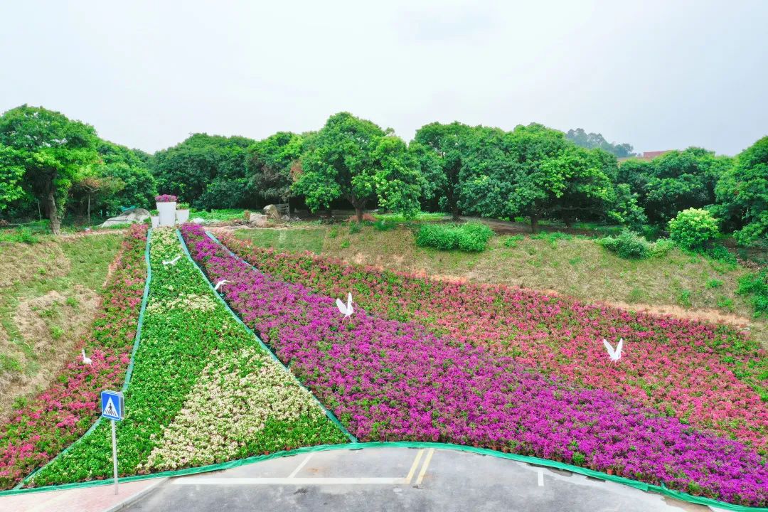 94.jpg