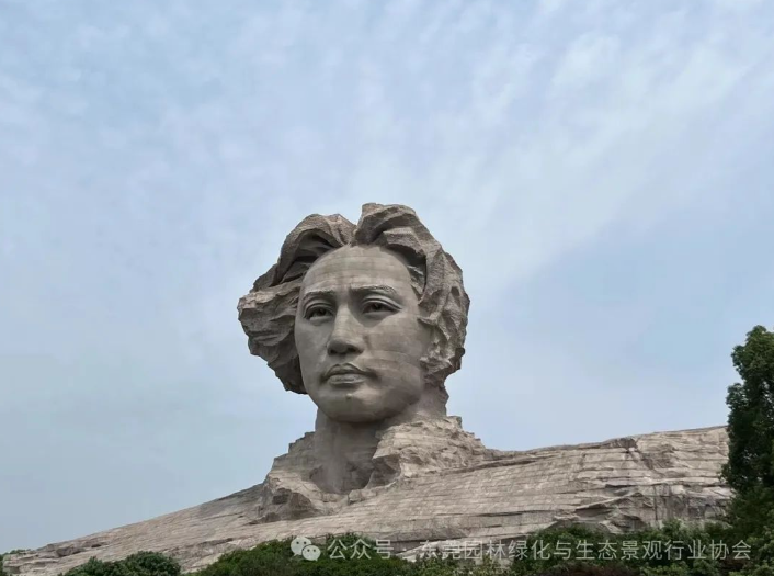 17.png 17.png