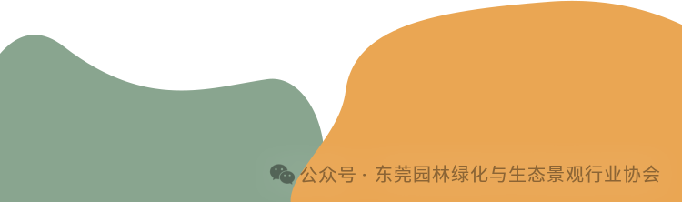86.png