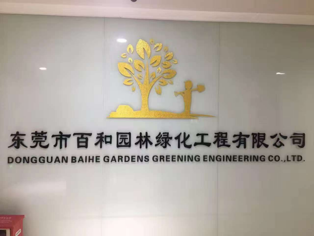 主图2.png