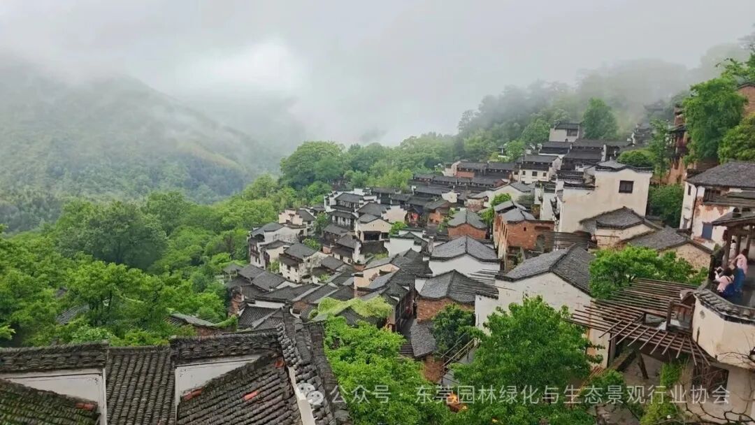 微信图片_20260601174704_357_5.jpg
